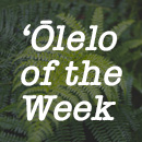 Hawaiian Word of the Week: ?Ono